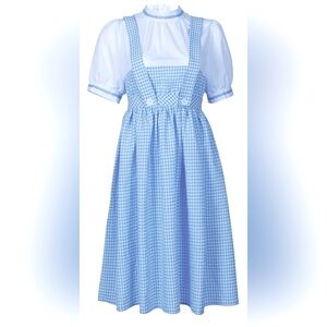 Blue Gingham Midi Dress / Wizard of Oz Dorothy dress